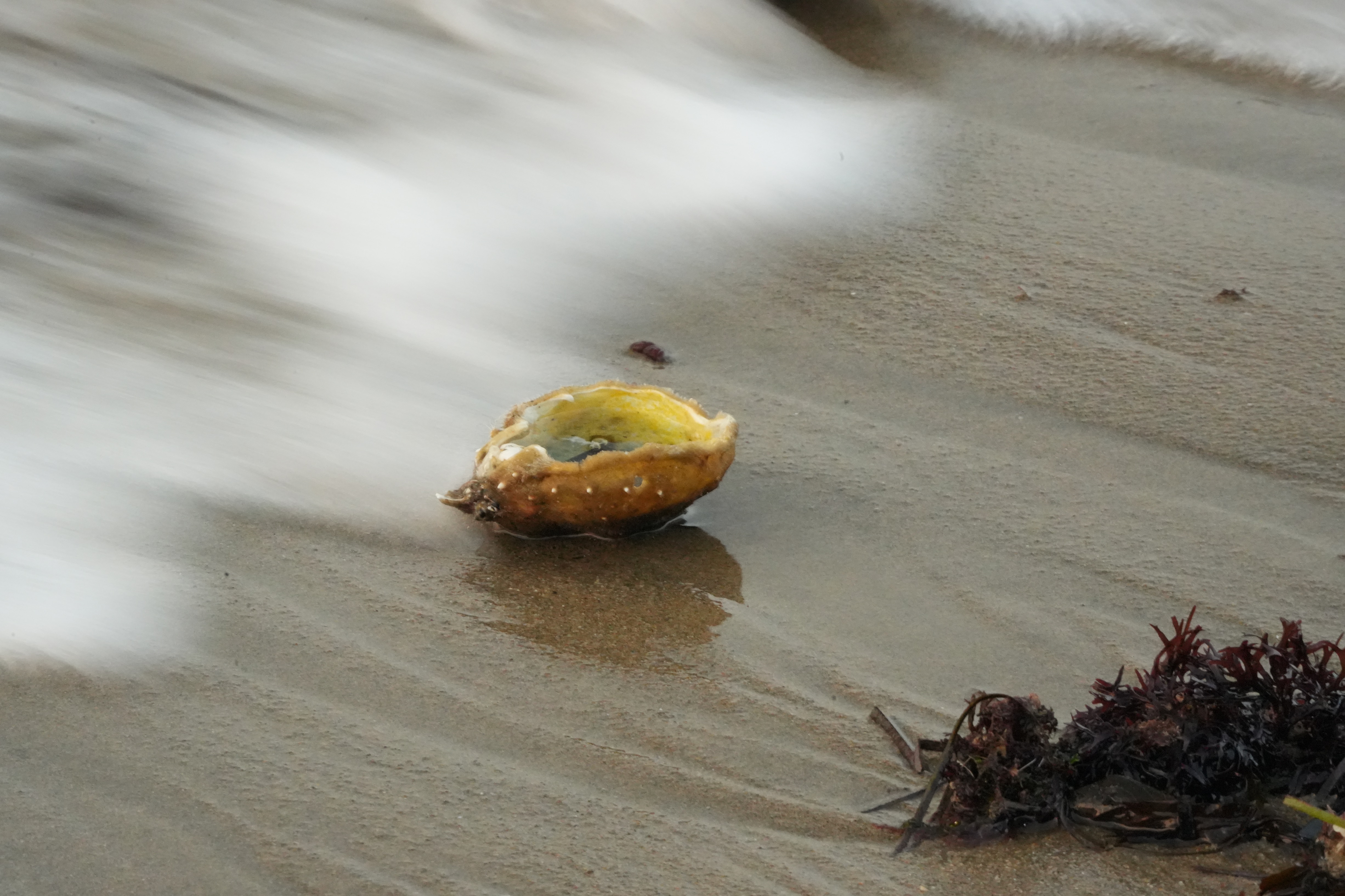 Nature Photography 2