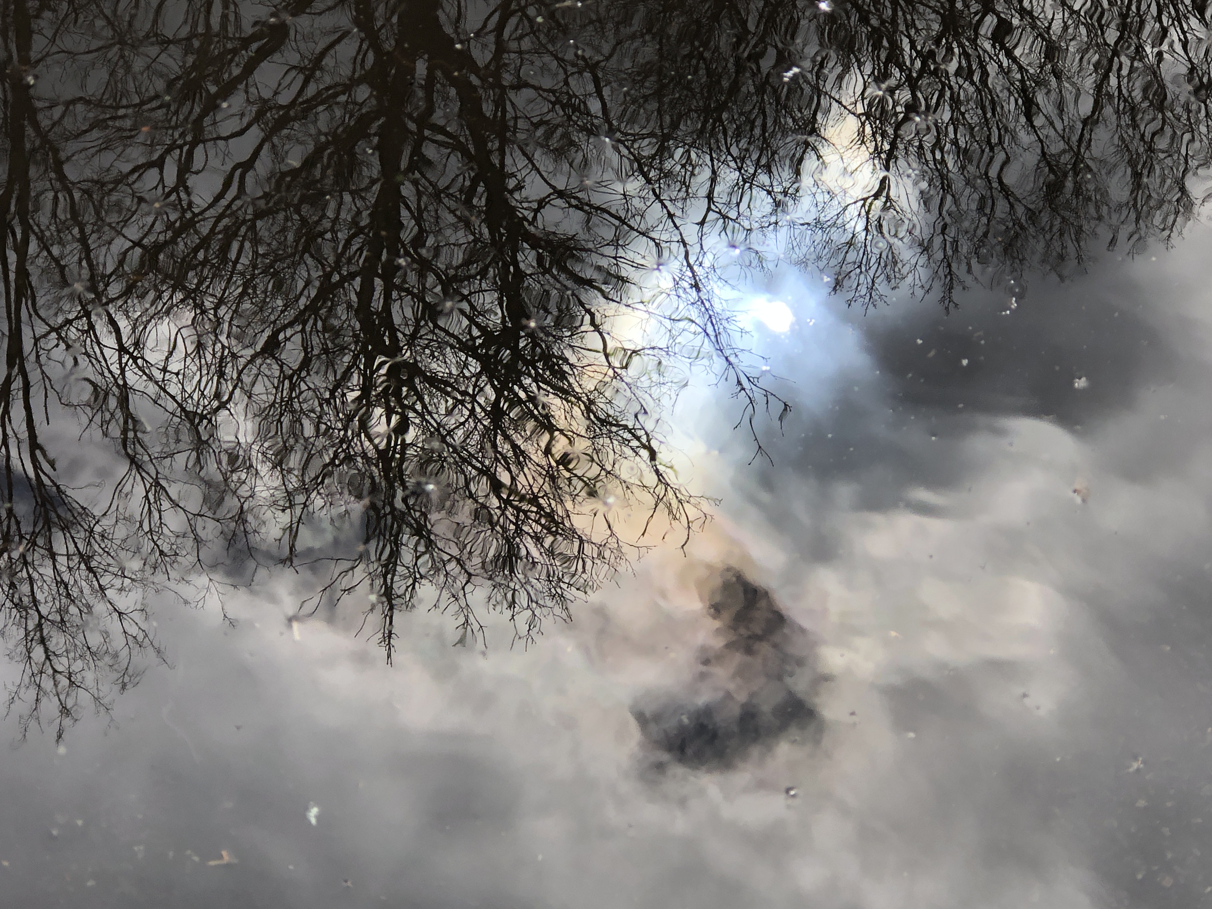 Nature Photography 4