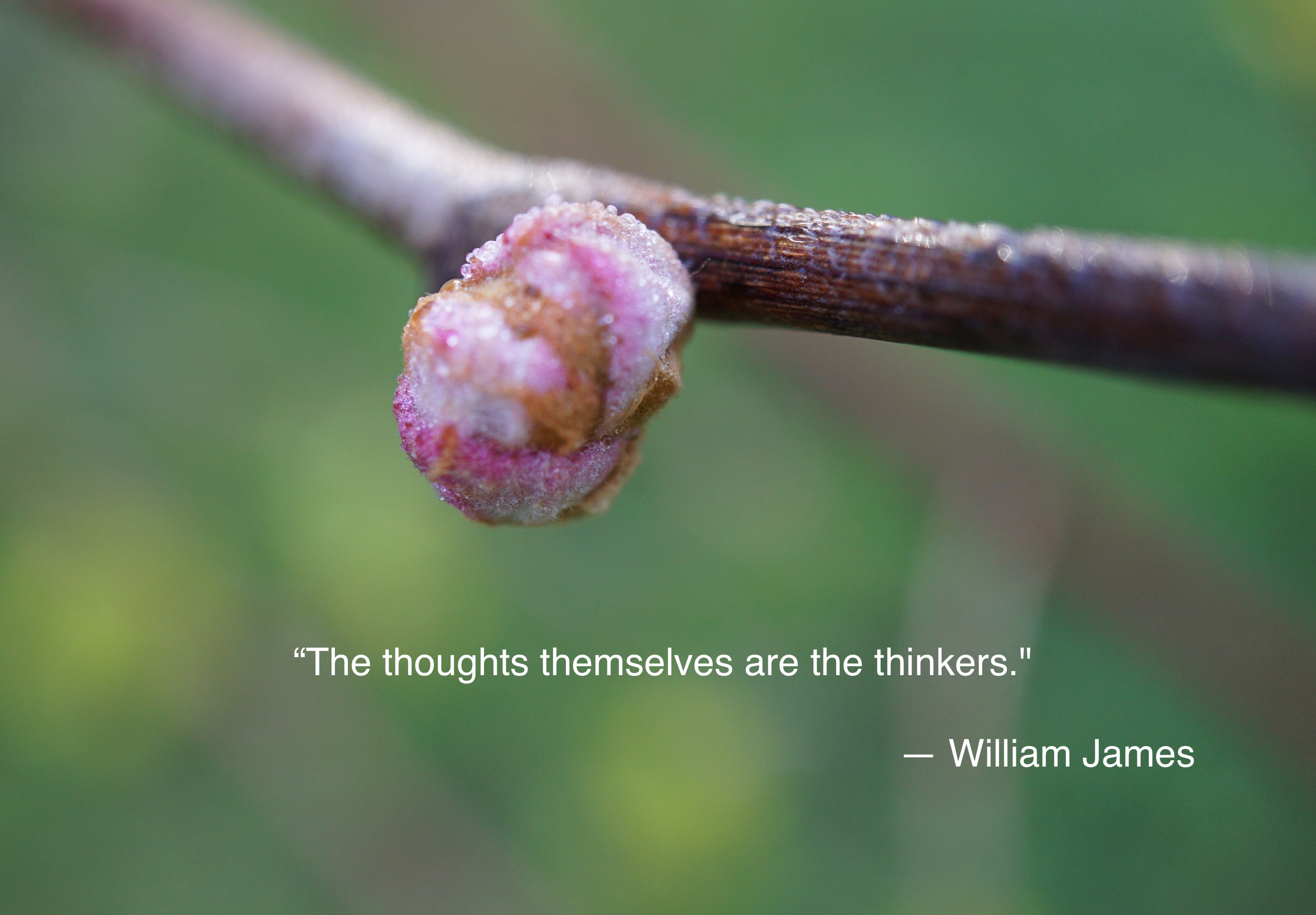 Quotes to think about #2