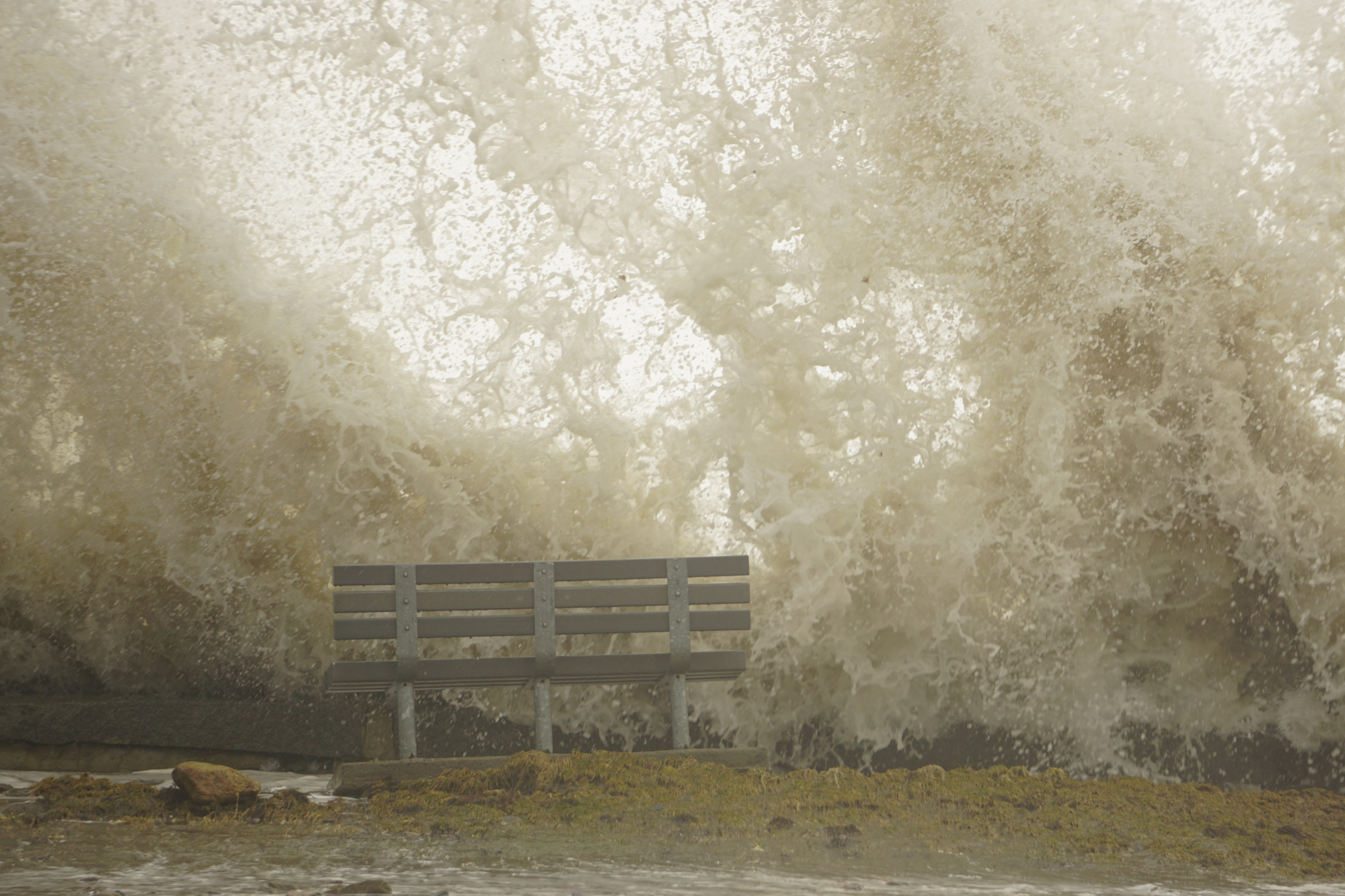 Nature Photography 7: a storm, and after