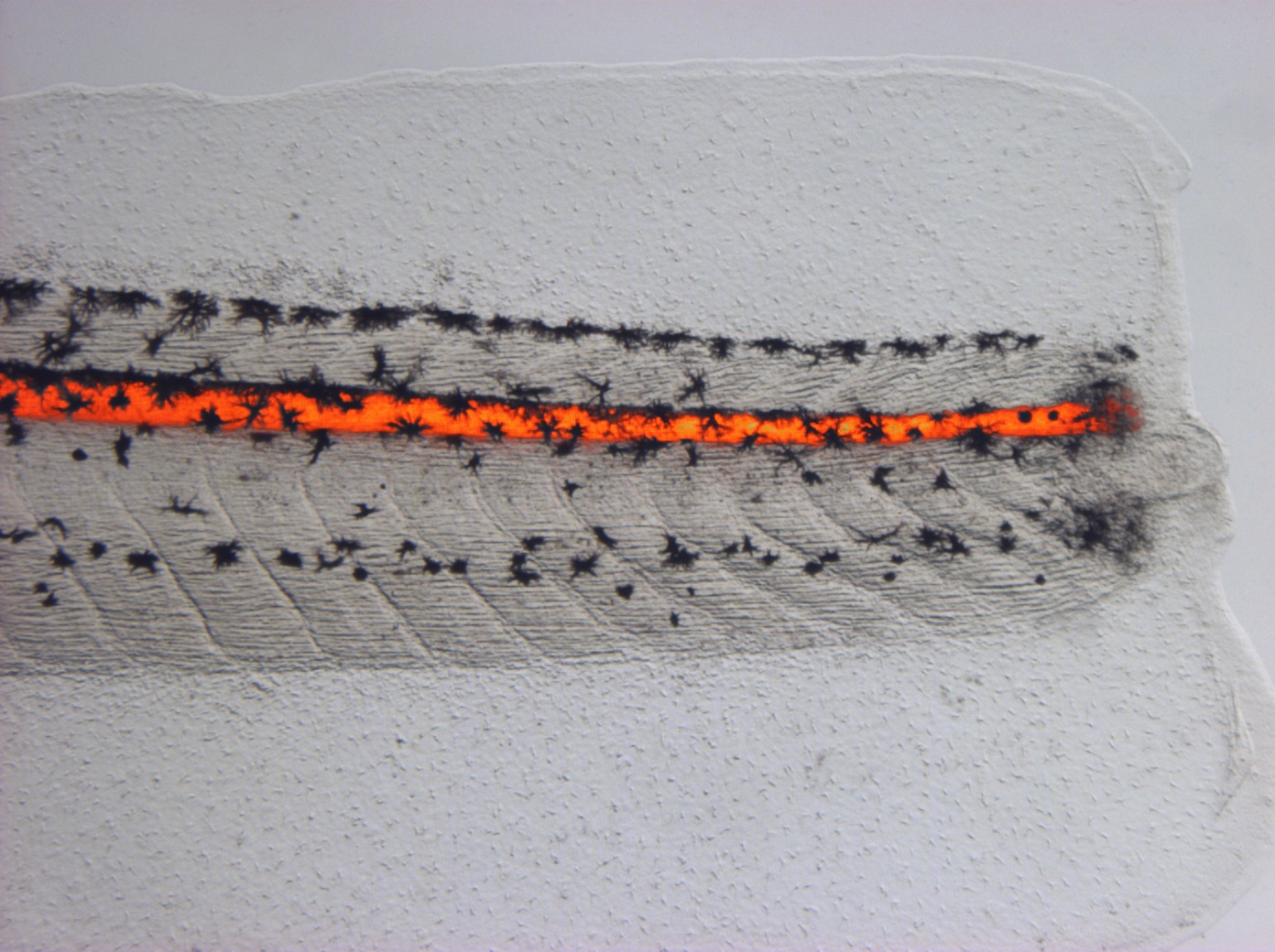 A few recent talks given: