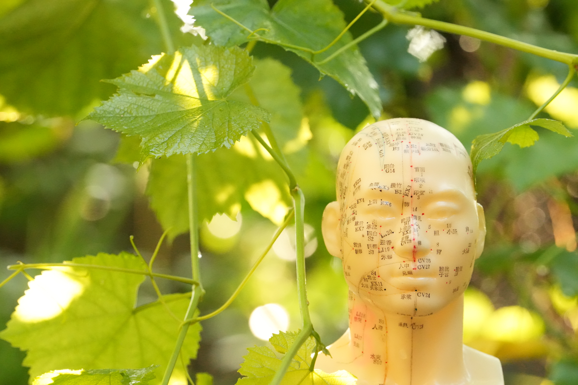 Q&A from the internet and recent presentations 1