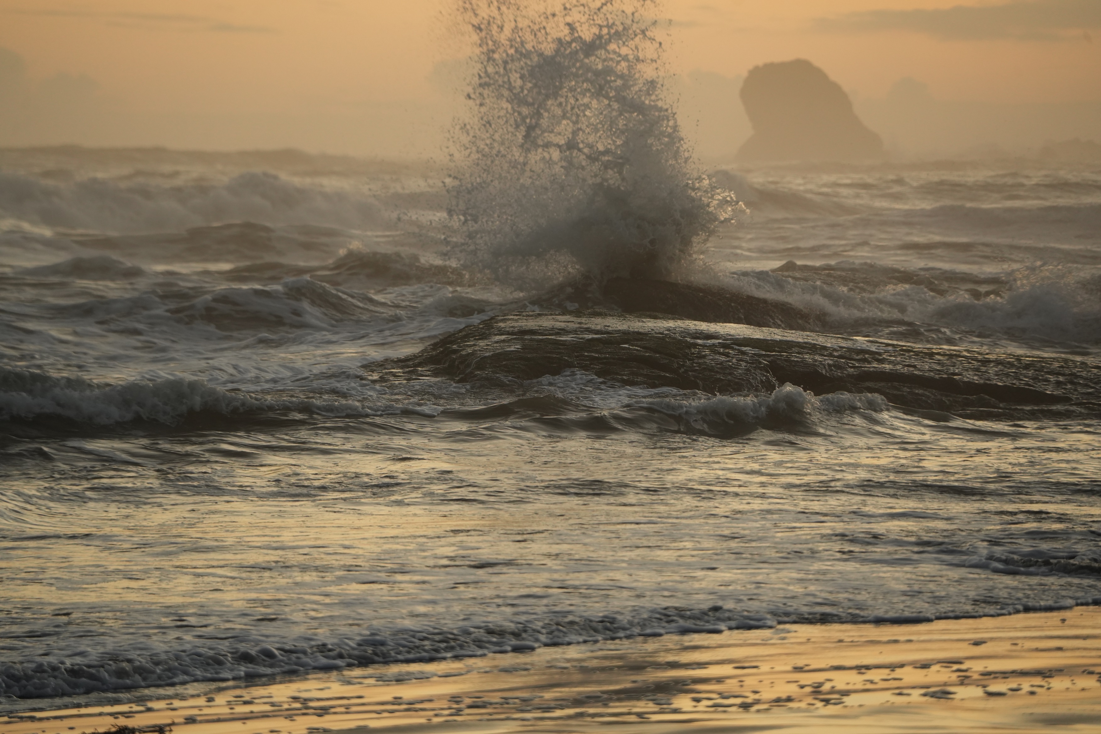 Nature Photography #17:  Pacific NorthWest