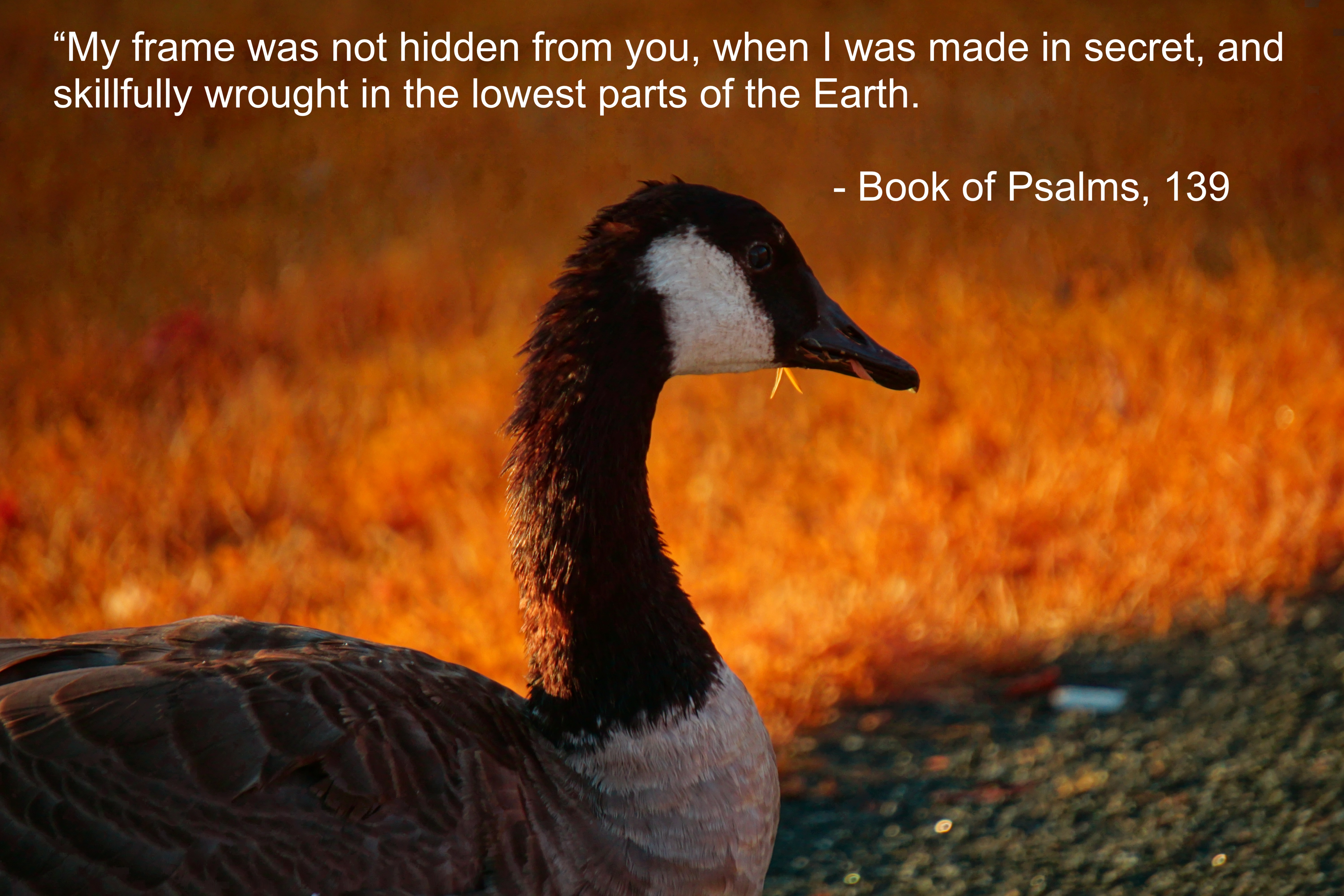 Quotes to think about #8