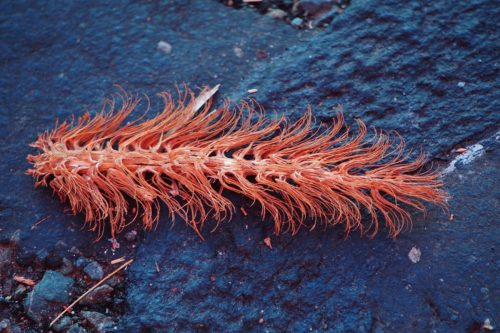 103 (1) (1) (1) (1) (1)