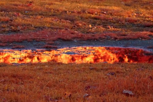 105 (1) (1) (1) (1) (1)