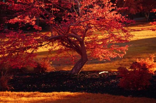 106 (1) (1) (1) (1) (1)