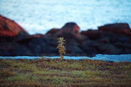 107 (1) (1) (1) (1) (1)