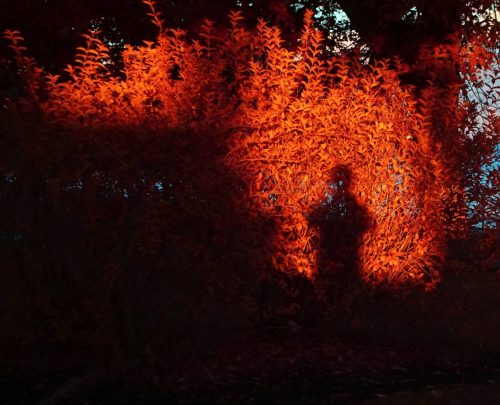 108 (1) (1) (1) (1) (1)