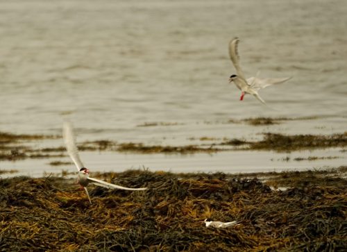 10 (1) (1) (1) (1) (1) (1)