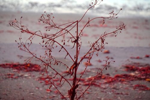 110 (1) (1) (1) (1) (1)