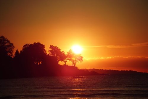 113 (1) (1) (1) (1) (1)