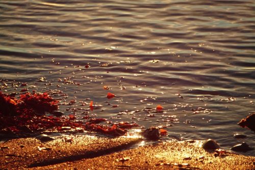 115 (1) (1) (1) (1) (1)