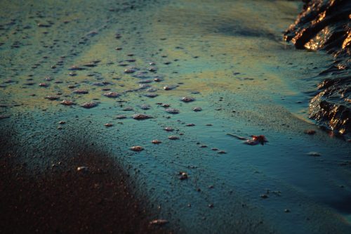 116 (1) (1) (1) (1) (1) (1)