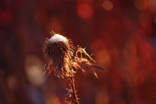 119 (1) (1) (1) (1) (1)