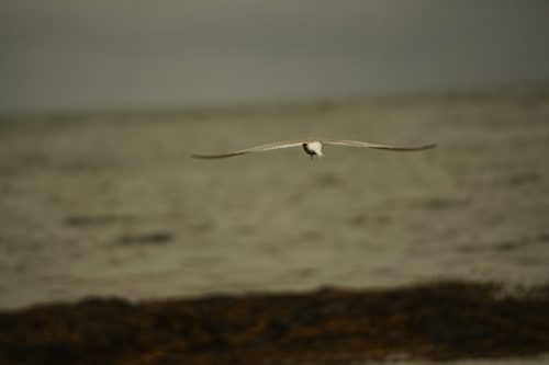 11 (1) (1) (1) (1) (1)