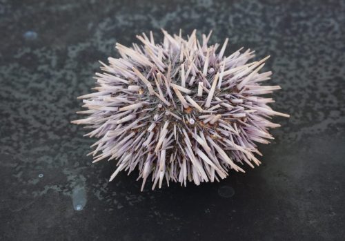 11 (1) (1) (1) (1) (1) (1)