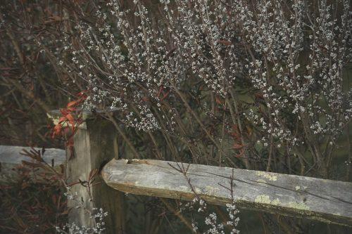 11 (1) (1) (1) (1) (1) (1) (1)