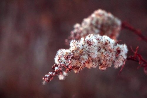 122 (1) (1) (1) (1) (1)