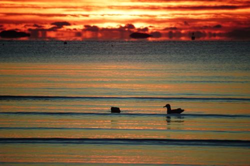 128 (1) (1) (1) (1) (1)