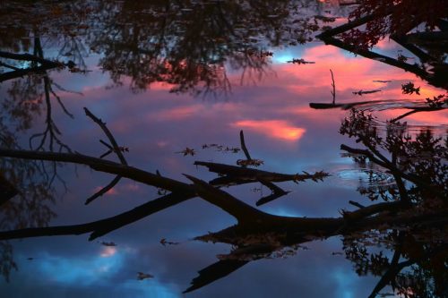 130 (1) (1) (1) (1) (1)