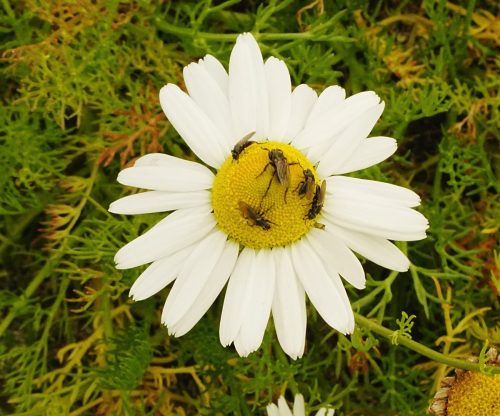 13 (1) (1) (1) (1) (1)