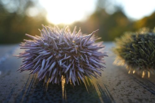 13 (1) (1) (1) (1) (1) (1)