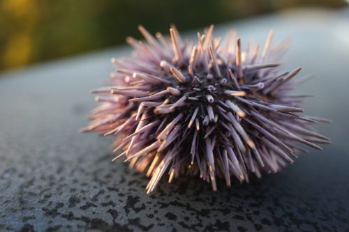 15 (1) (1) (1) (1) (1) (1)