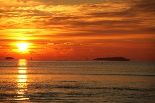 15 (1) (1) (1) (1) (1) (1) (1)