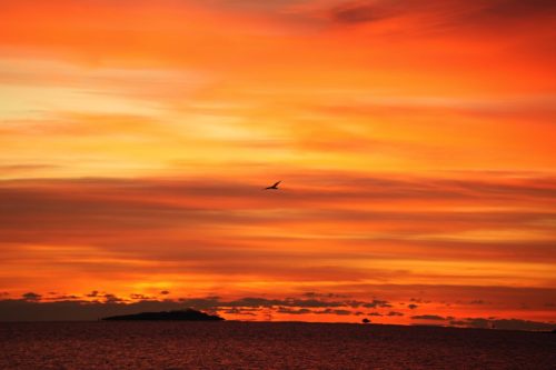 17 (1) (1) (1) (1) (1) (1) (1)