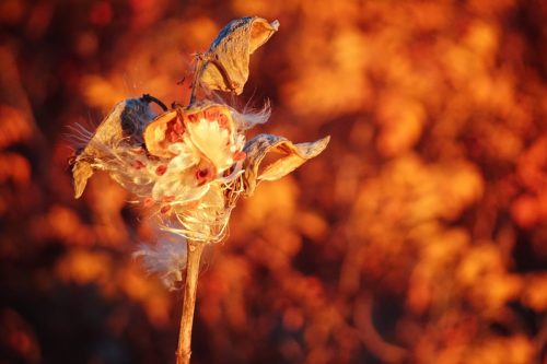 18 (1) (1) (1) (1) (1) (1) (1)