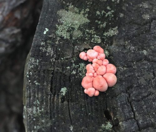 1 (1) (1) (1) (1) (1)