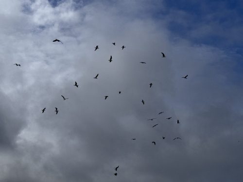 2025-07-26-09.22.58-1