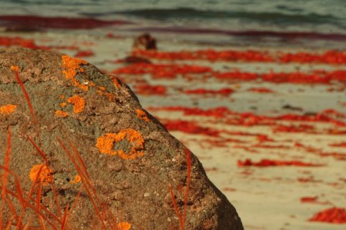 20 (1) (1) (1) (1) (1)