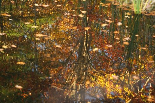 22 (1) (1) (1) (1) (1)