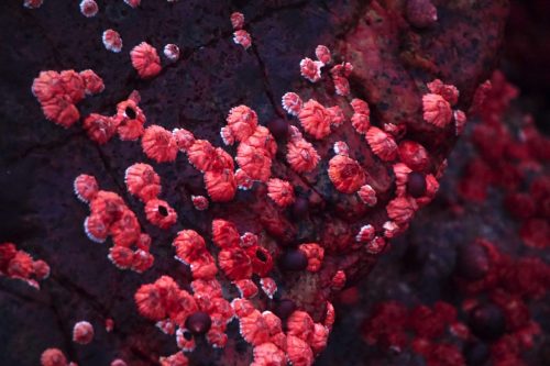 22 (1) (1) (1) (1) (1) (1)