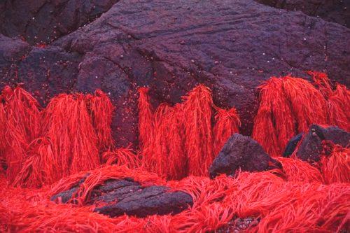 23 (1) (1) (1) (1) (1) (1)