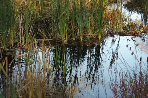 25 (1) (1) (1) (1) (1)