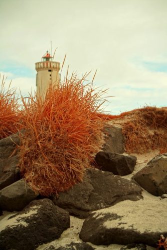 27 (1) (1) (1) (1) (1)