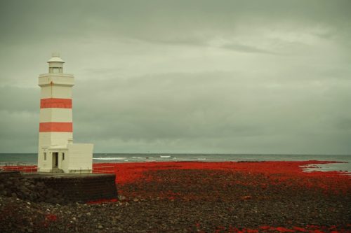 28 (1) (1) (1) (1) (1)