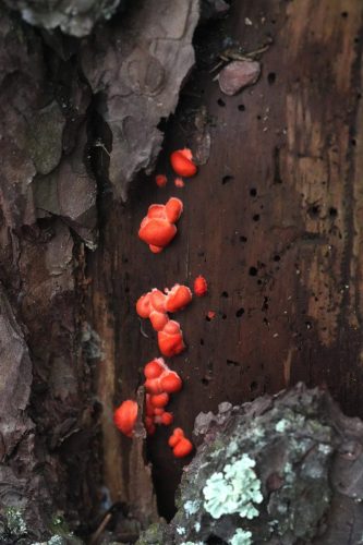 2 (1) (1) (1) (1) (1) (1)