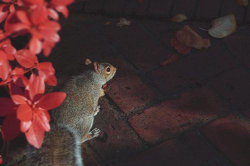 34 (1) (1) (1) (1) (1)