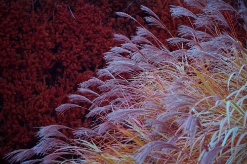 35 (1) (1) (1) (1) (1) (1)