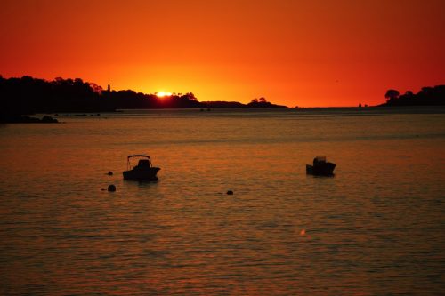 39 (1) (1) (1) (1) (1)