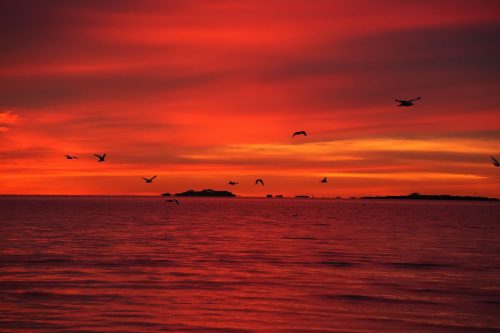 3 (1) (1) (1) (1) (1) (1)