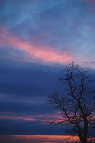 40 (1) (1) (1) (1) (1) (1)