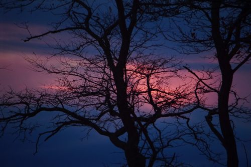 42 (1) (1) (1) (1) (1)