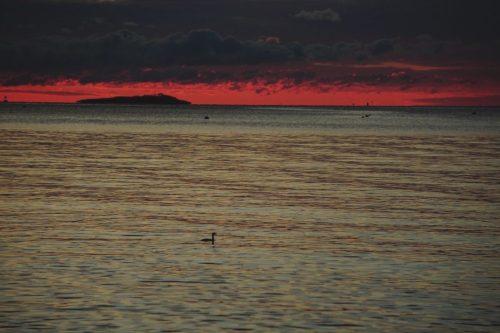 44 (1) (1) (1) (1) (1)