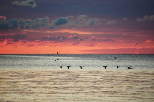 45 (1) (1) (1) (1) (1)