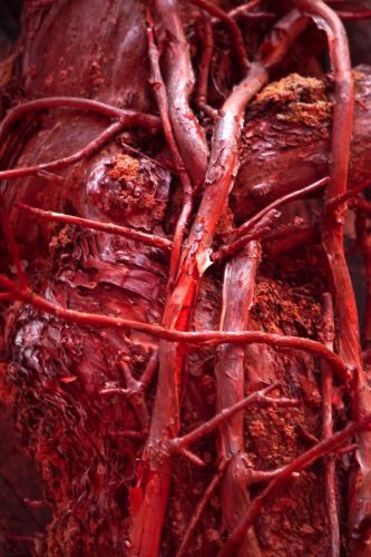 46 (1) (1) (1) (1) (1)